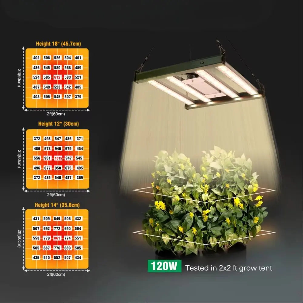 Panneau lumineux suspendu avec éclairage LED, éclairant des plantes vertes dans un décor intérieur