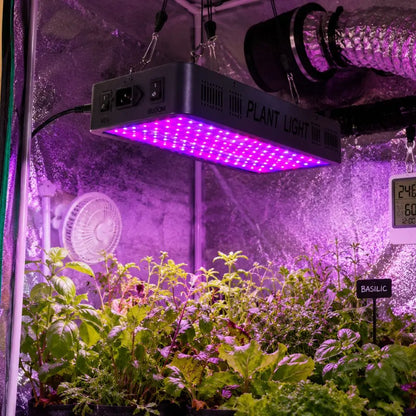 Panneau LED rectangulaire avec lumière violette au-dessus de plantes vertes dans une serre intérieure