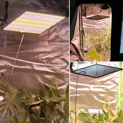 Panneau LED rectangulaire suspendu au-dessus de plantes vertes dans une tente de culture intérieure