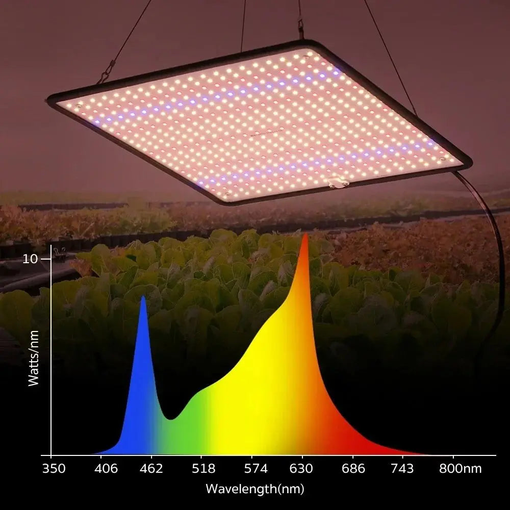 Panneau LED suspendu avec de nombreuses lumières blanches et colorées, éclairant un espace de culture