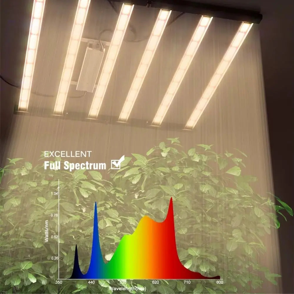 Quatre tubes lumineux suspendus au plafond, éclairant des feuilles vertes en arrière-plan avec un fond sombre