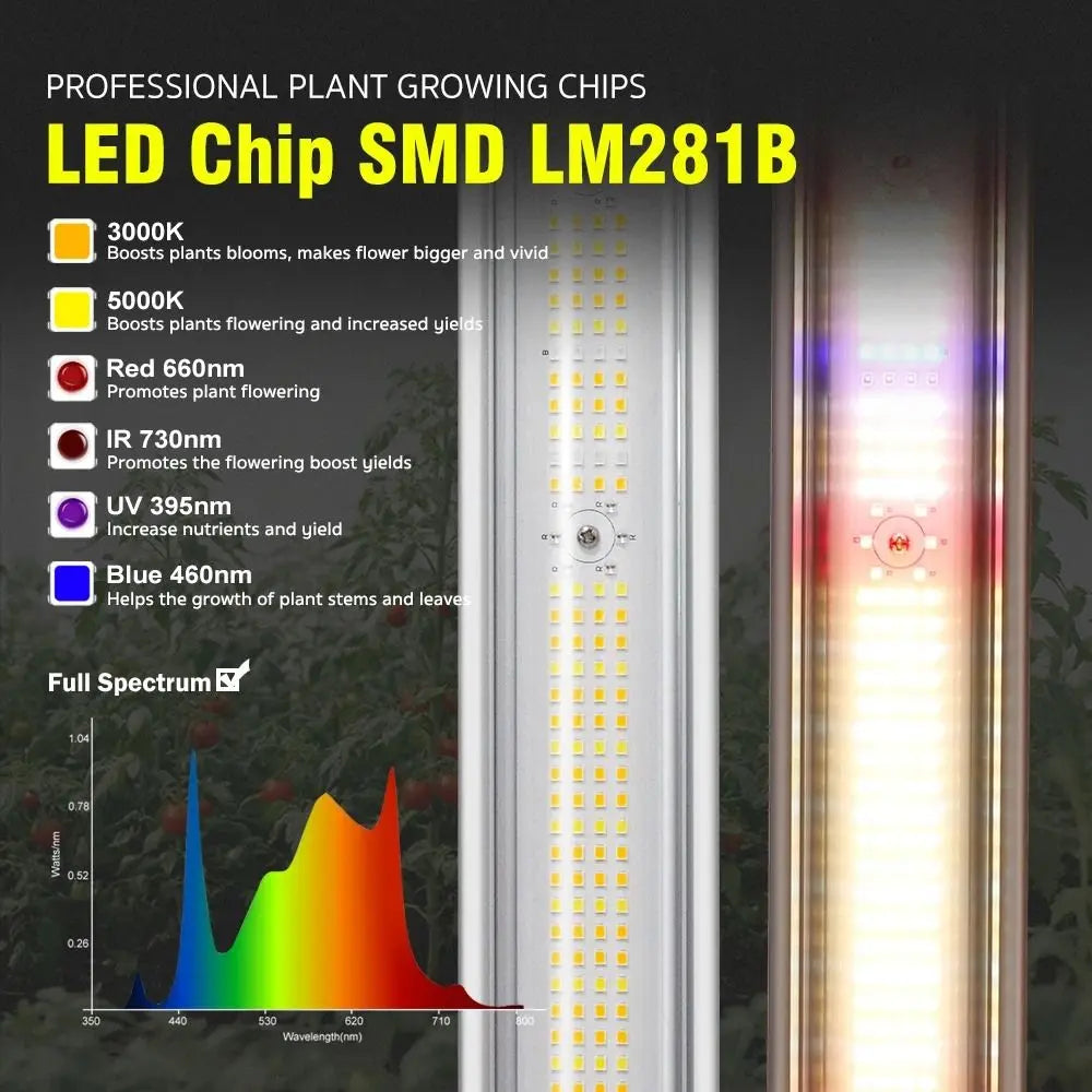 Panneau LED avec plusieurs rangées de lumières blanches et colorées sur fond sombre
