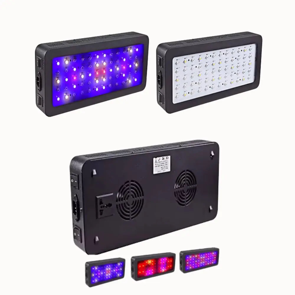 Deux lampes LED rectangulaires avec des lumières violettes et blanches sur fond noir, vue de face et de dos