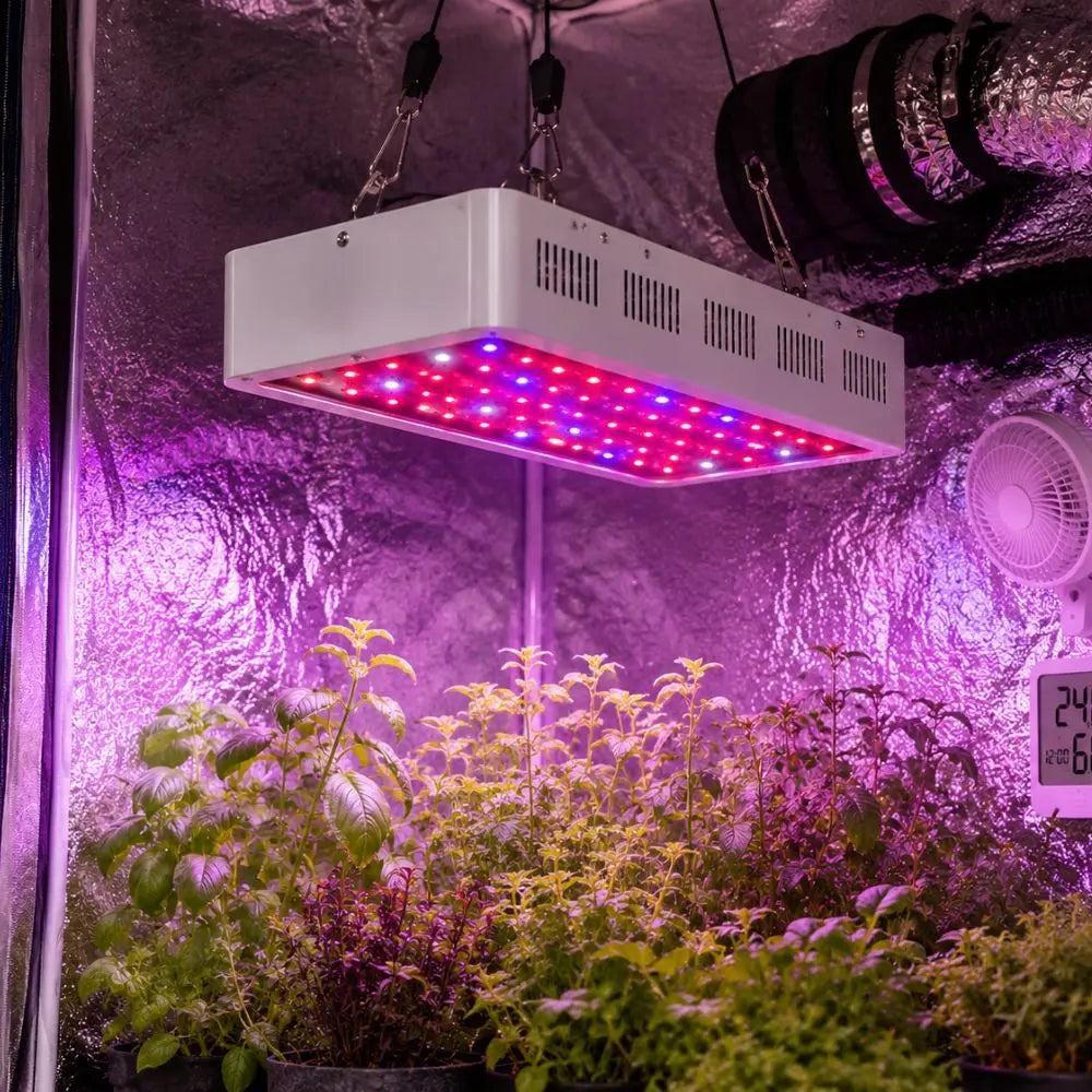 Lampe horticole blanche avec LED colorées, suspendue au-dessus de plantes vertes dans un espace de culture intérieure