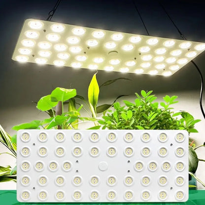 Panneau lumineux rectangulaire blanc avec plusieurs LED, suspendu au-dessus de jeunes plants verts