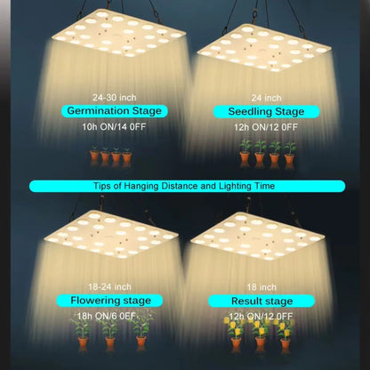 Panneau lumineux suspendu avec plusieurs trous, émettant une lumière blanche douce, entouré de pots de plantes