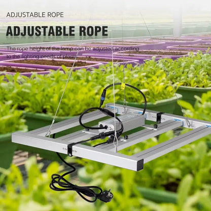 Barres métalliques argentées avec câbles suspendus au-dessus de plantes vertes en pot