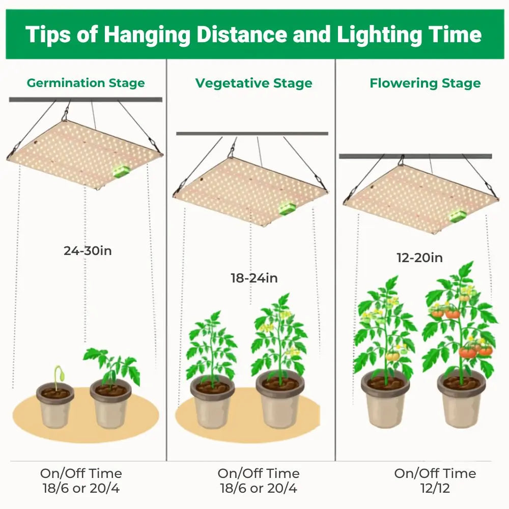 Panneau LED suspendu au-dessus de pots de plantes vertes, avec un fond clair et des lignes de séparation