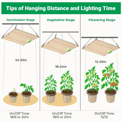 Panneau LED suspendu au-dessus de pots de plantes vertes, avec un fond clair et des lignes de séparation