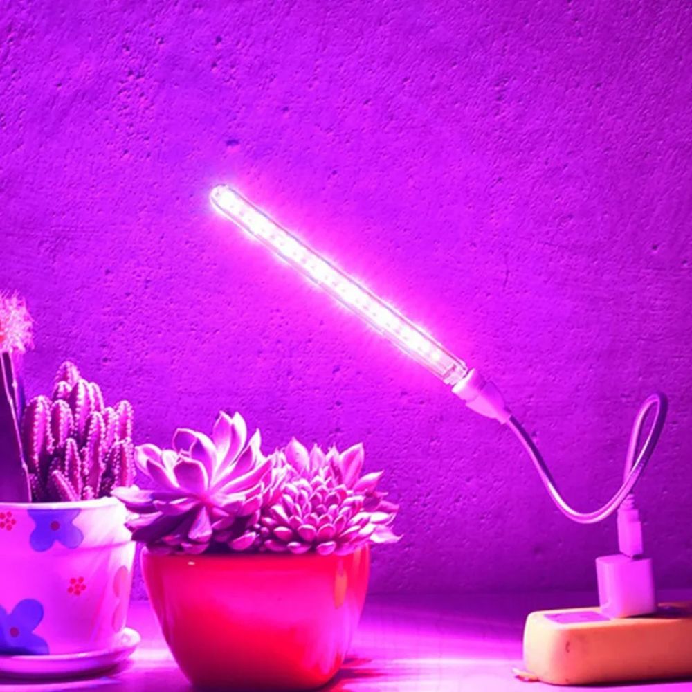 Lampe horticole UV émettant une lumière violette, posée près de plantes en pot colorés