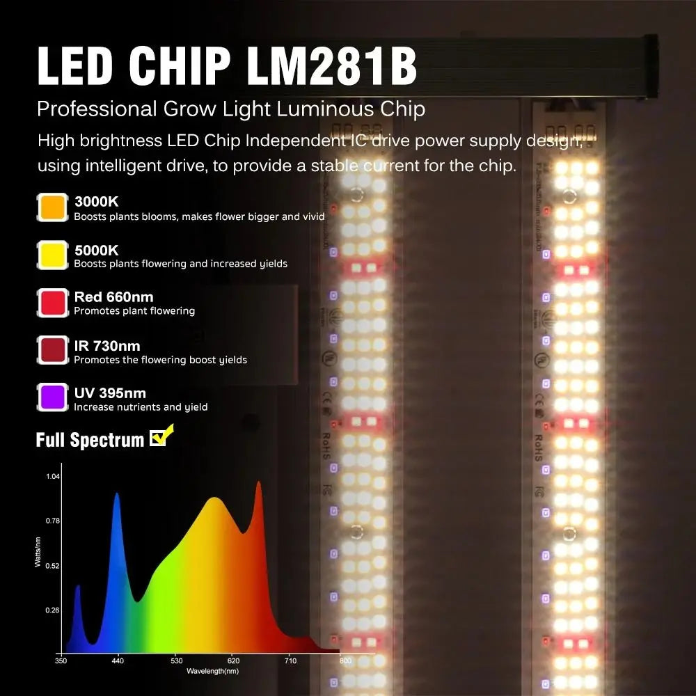 Barres LED blanches et rouges disposées verticalement sur un fond noir, avec un spectre lumineux coloré en bas