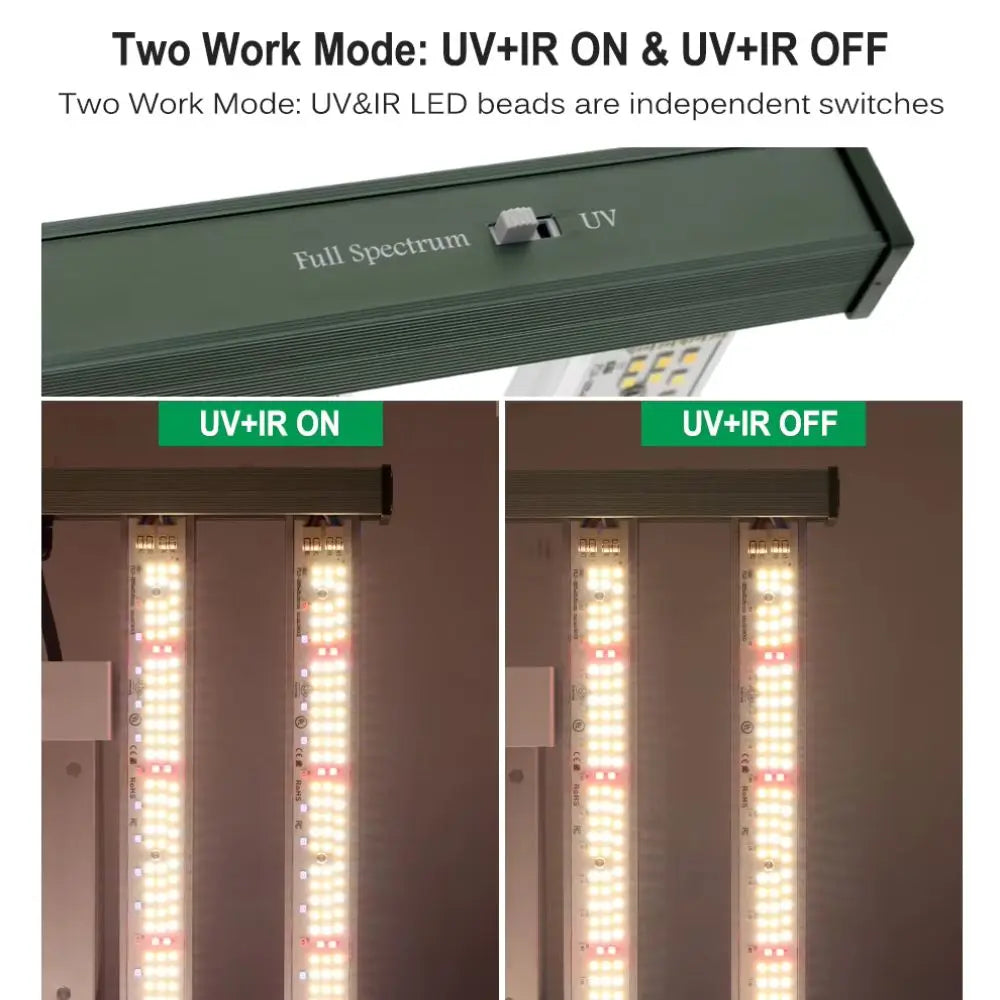 Barres LED avec lumière blanche et rouge, disposées sur un fond gris, avec interrupteurs visibles