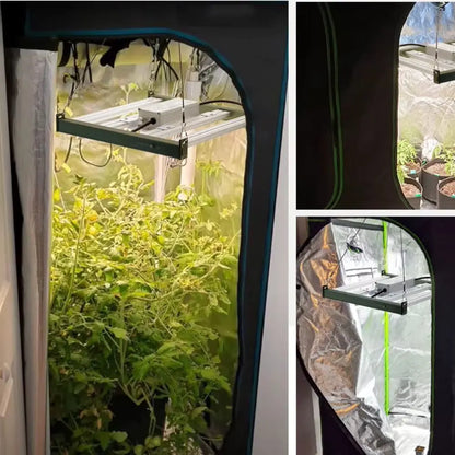 Barres LED suspendues au-dessus de plantes vertes dans une tente de culture intérieure