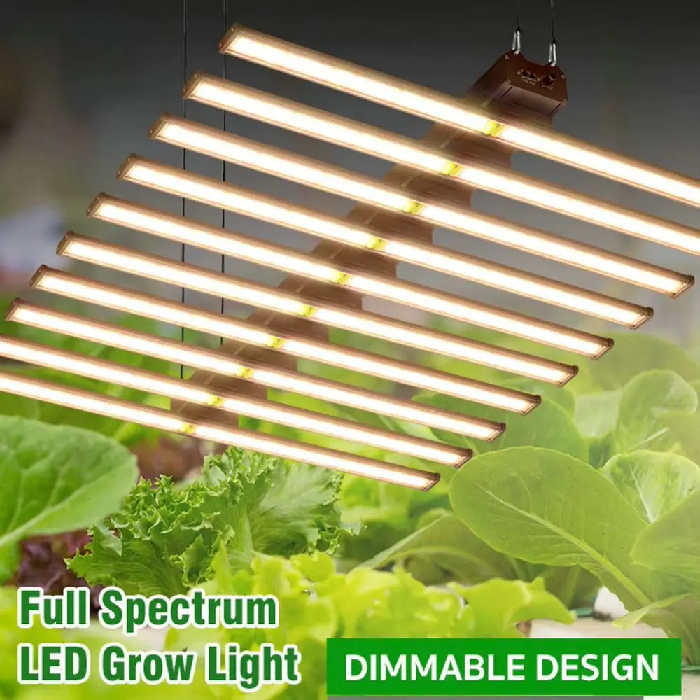 Barres LED dimmables disposées en diagonale au-dessus de feuillage vert et frais