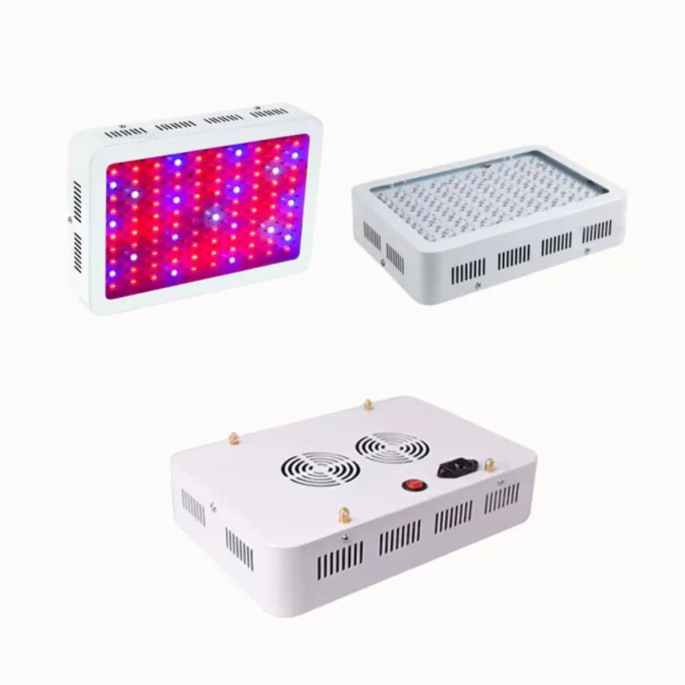 Trois lampes LED horticoles blanches avec des lumières rouges et bleues pour la croissance des plantes