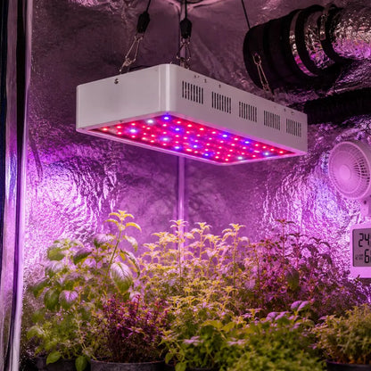Lampe LED horticole blanche avec lumières rouges et bleues au-dessus de plantes vertes dans une pièce sombre