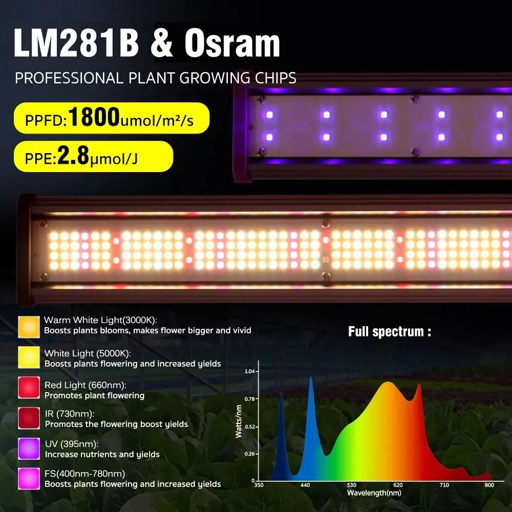 Barres LED avec lumière rouge et bleue, disposées horizontalement sur un fond noir, pour la croissance des plantes