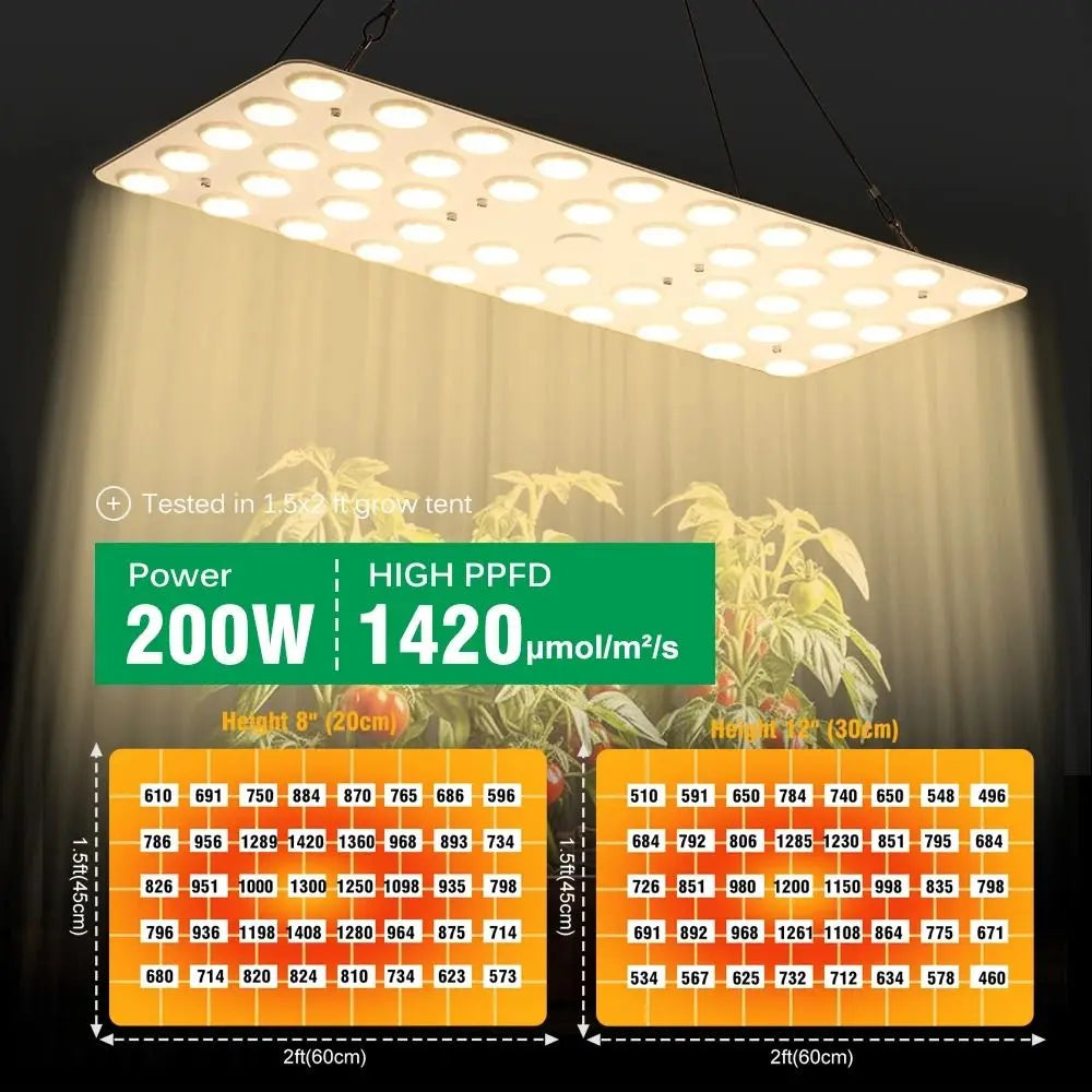 Panneau lumineux rectangulaire avec plusieurs LED blanches, suspendu au-dessus d'un espace de culture