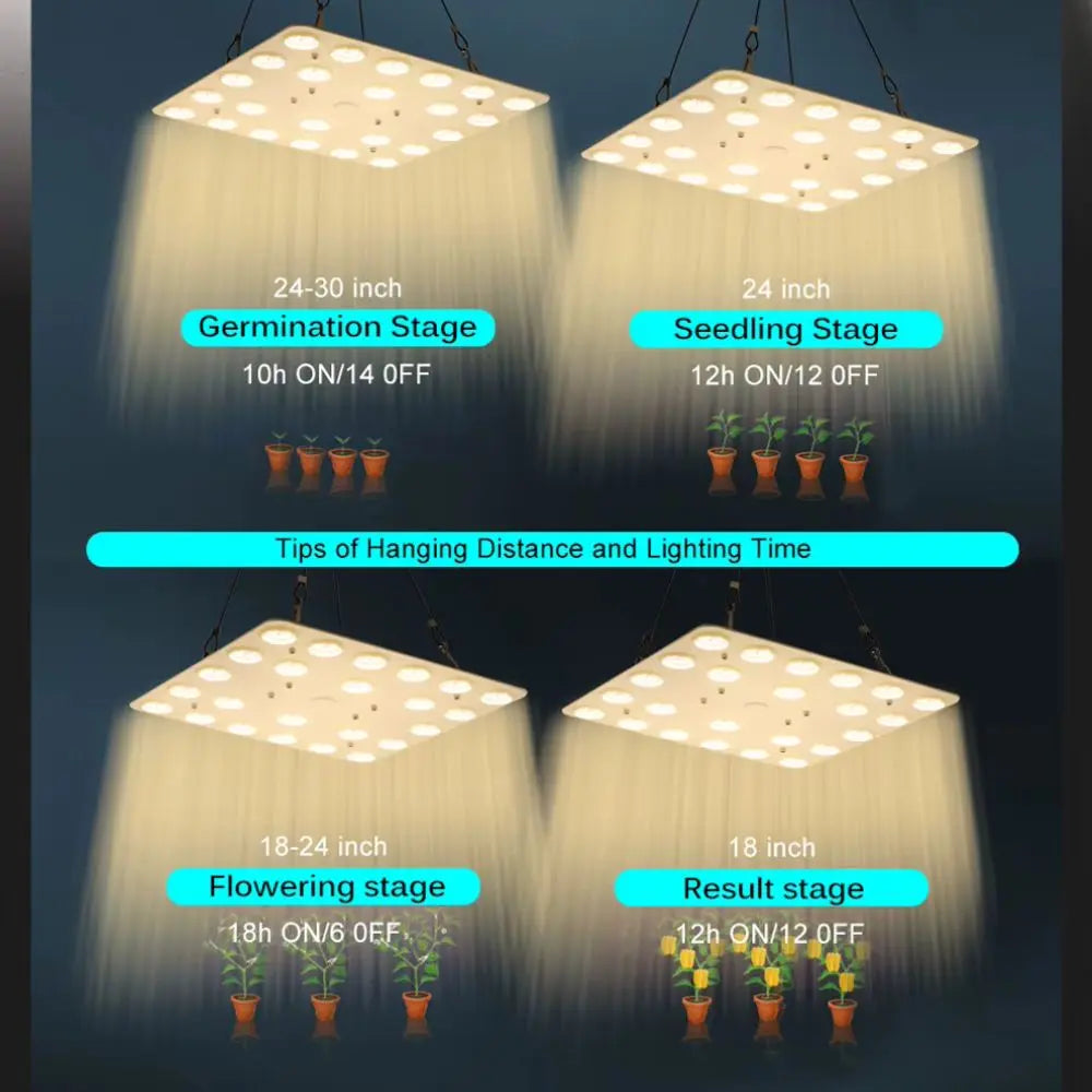 Panneau lumineux suspendu avec plusieurs LED blanches sur fond sombre et pots de plantes en bas