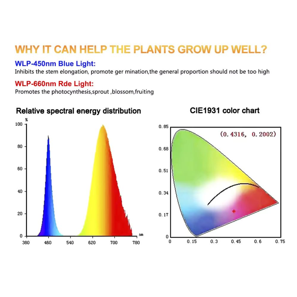 Graphique coloré montrant la distribution spectrale de l'énergie avec des courbes bleue et rouge