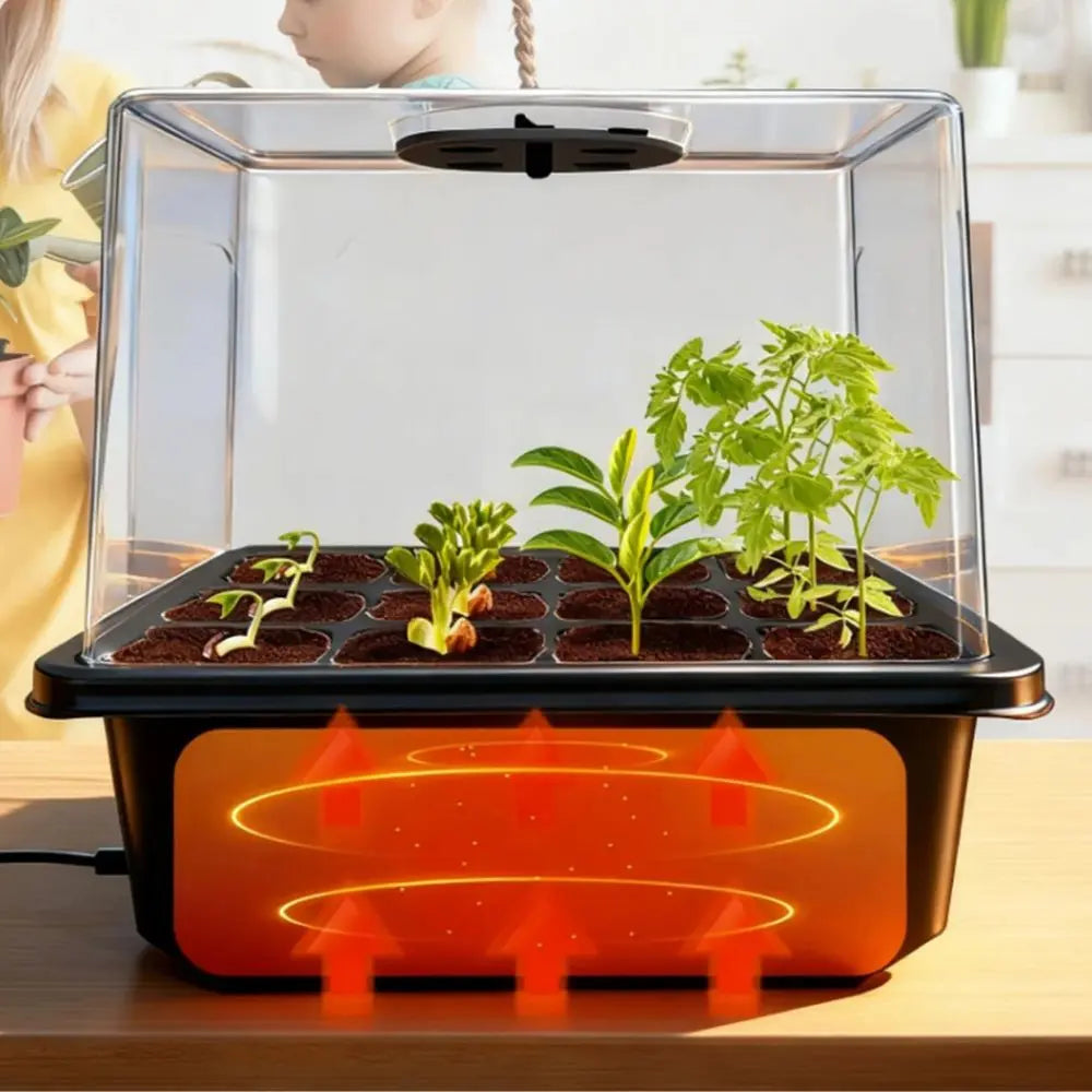 Mini serre chauffante en plastique transparent avec plantes vertes et terreau dans un bac noir