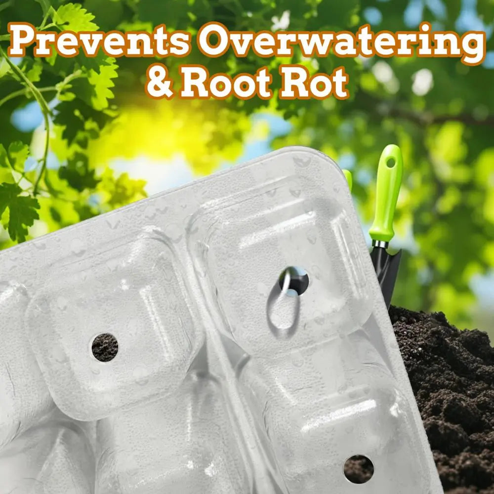 Kit de germination transparent avec alvéoles, couvercle et outil de jardinage vert sur fond de terre et plantes