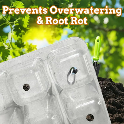 Kit de germination transparent avec alvéoles, couvercle et outil de jardinage vert sur fond de terre et plantes