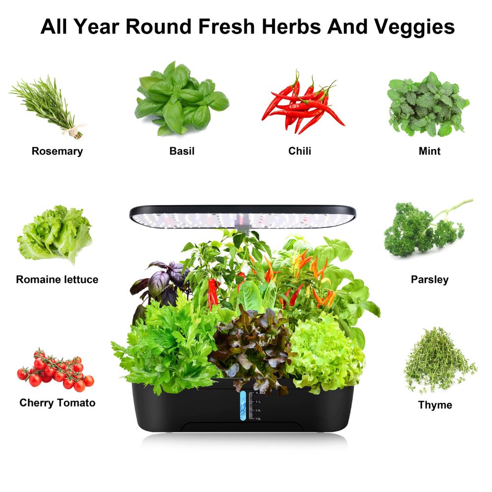 Système de culture hydroponique avec des herbes vertes et des légumes frais en potager intérieur