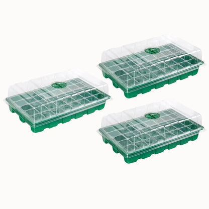 Trois mini serres transparentes avec couvercles, contenant des alvéoles vertes pour semis