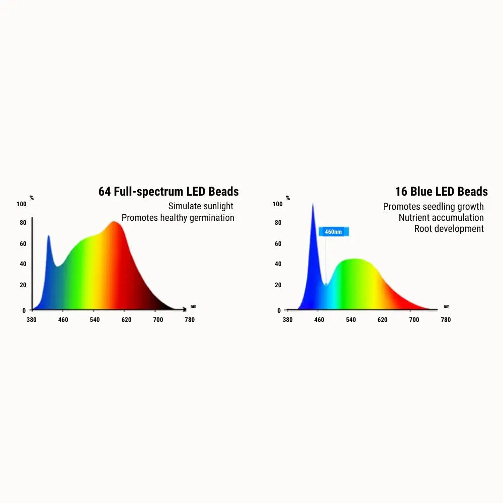 Graphiques colorés montrant des spectres lumineux avec des courbes en dégradé de couleurs vives