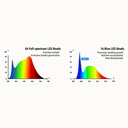 Graphiques colorés montrant des spectres lumineux avec des courbes en dégradé de couleurs vives