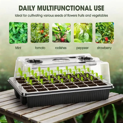 Mini serre avec dôme transparent, contenant des semis de plantes vertes dans des alvéoles noires