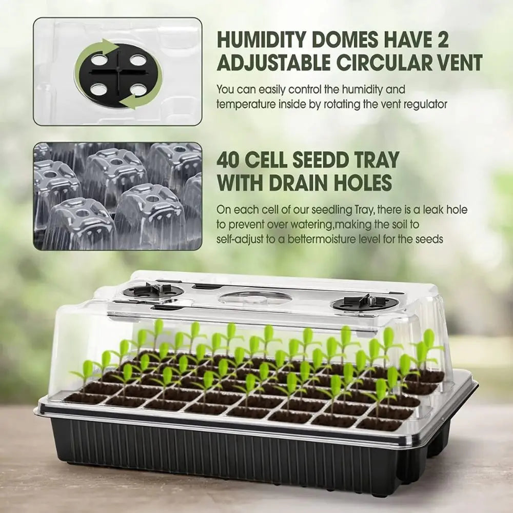 Kit de semis avec dôme de germination transparent et plateau noir, contenant de jeunes plants verts