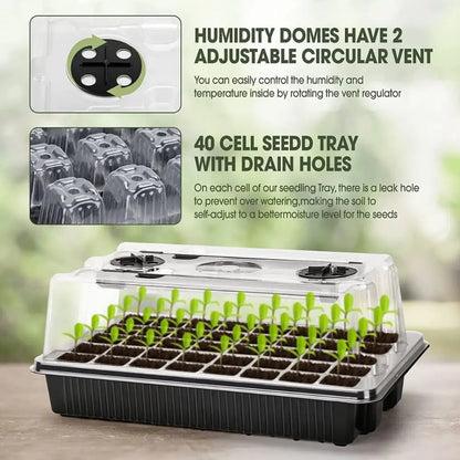 Kit de semis avec dôme de germination transparent et plateau noir, contenant de jeunes plants verts
