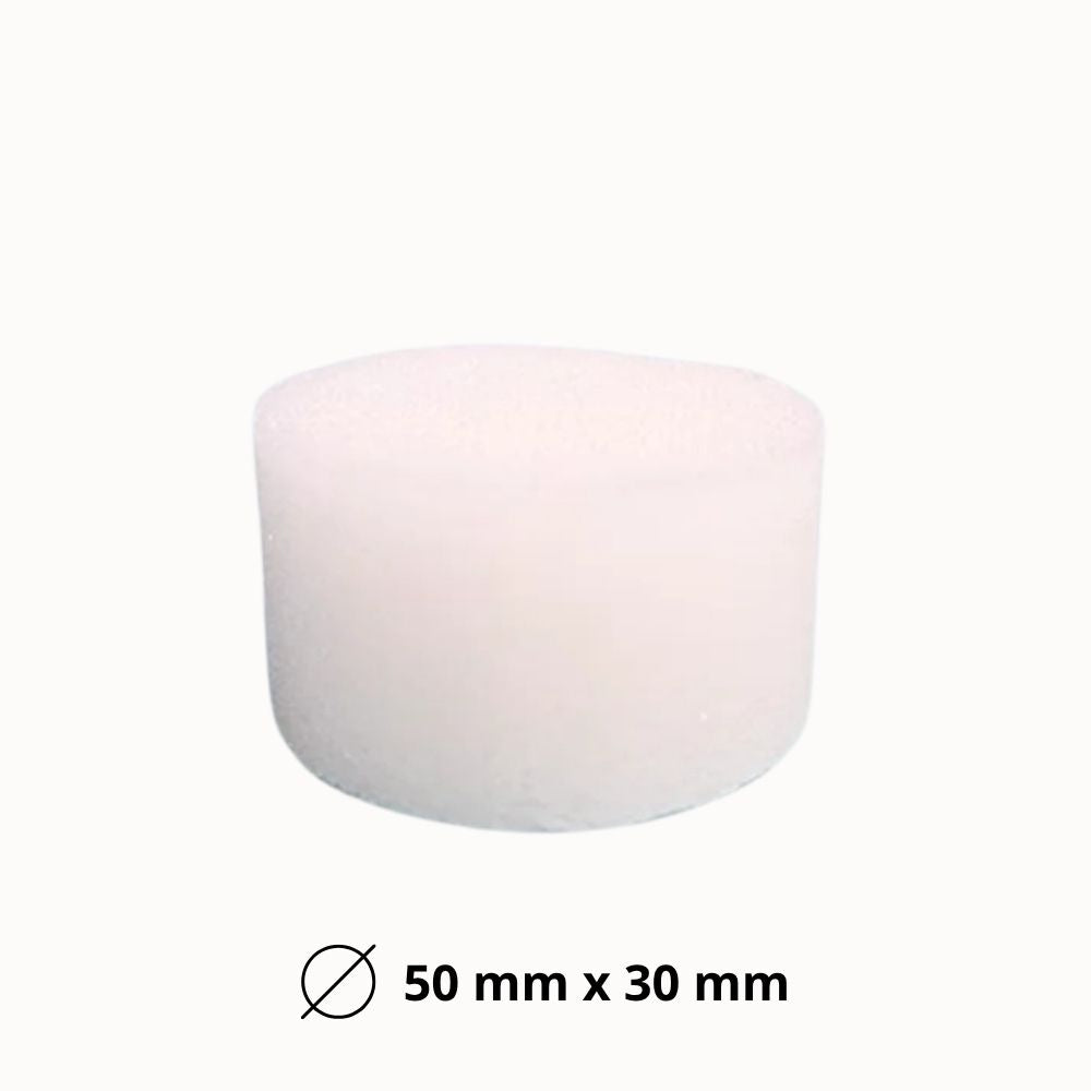 Éponge de semis blanche, ronde, avec une texture mousseuse et une surface lisse, sur fond neutre