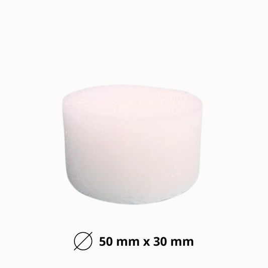 Éponge de semis blanche, ronde, avec une texture mousseuse et une surface lisse, sur fond neutre