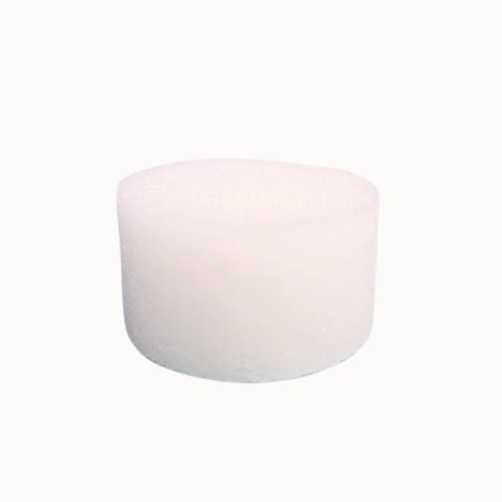 Éponge de semis ronde, blanche, avec une texture mousseuse et une surface lisse, sur fond neutre