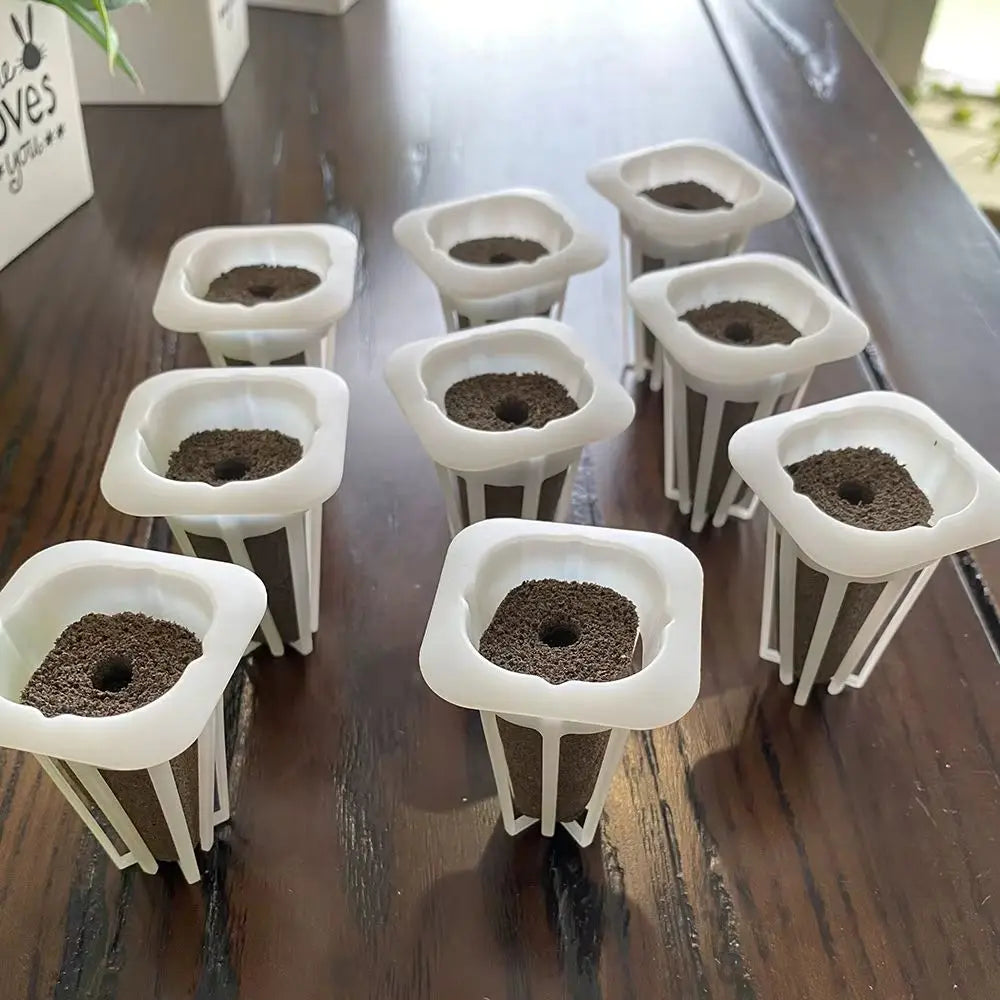 Des paniers blancs en plastique contenant de la mousse hydroponique sur une table en bois foncé