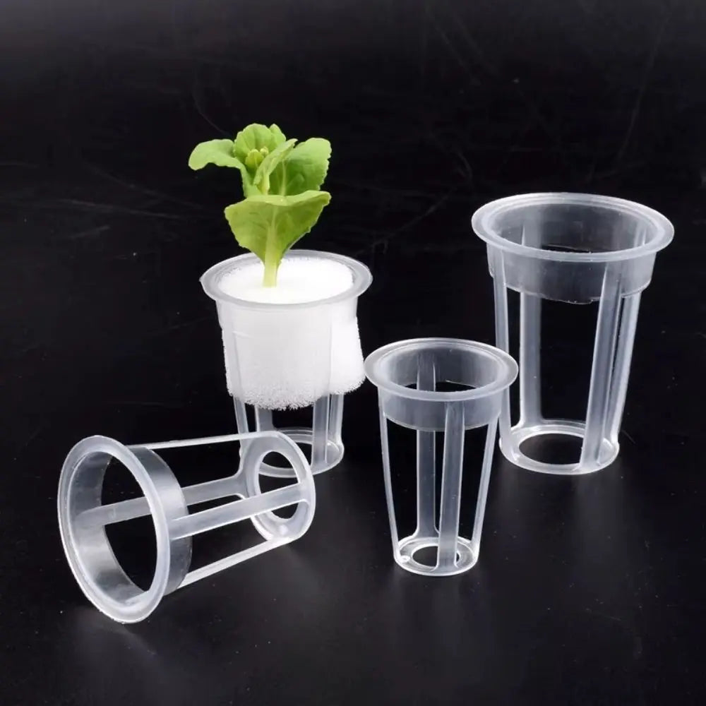 Quatre pots transparents en plastique avec une petite plante verte à l'intérieur sur fond noir