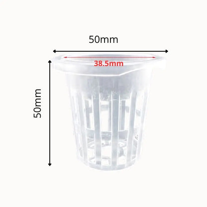 Pots hydroponiques transparents en plastique avec des fentes pour drainage et support de culture