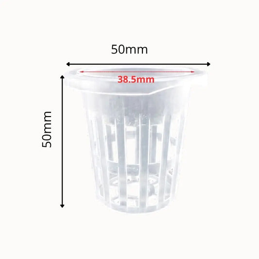 Pots hydroponiques transparents en plastique avec des fentes pour drainage et support de culture