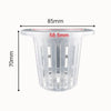 Pots hydroponiques en plastique transparent avec des fentes verticales et un bord supérieur lisse