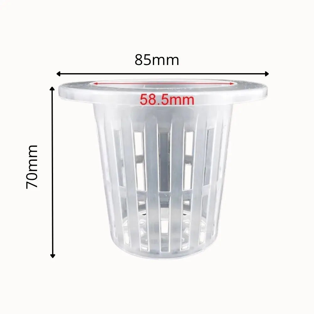 Pots hydroponiques en plastique transparent avec des fentes verticales et un bord supérieur lisse
