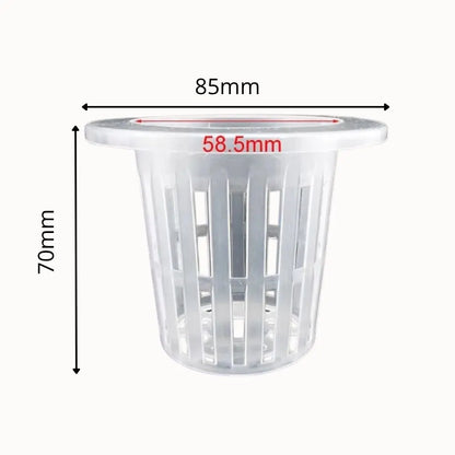 Pots hydroponiques en plastique transparent avec des fentes verticales et un bord supérieur lisse