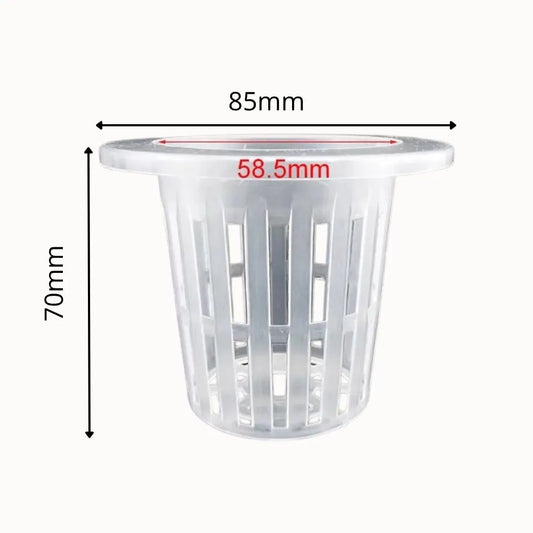 Pots hydroponiques en plastique transparent avec des fentes verticales et un bord supérieur lisse