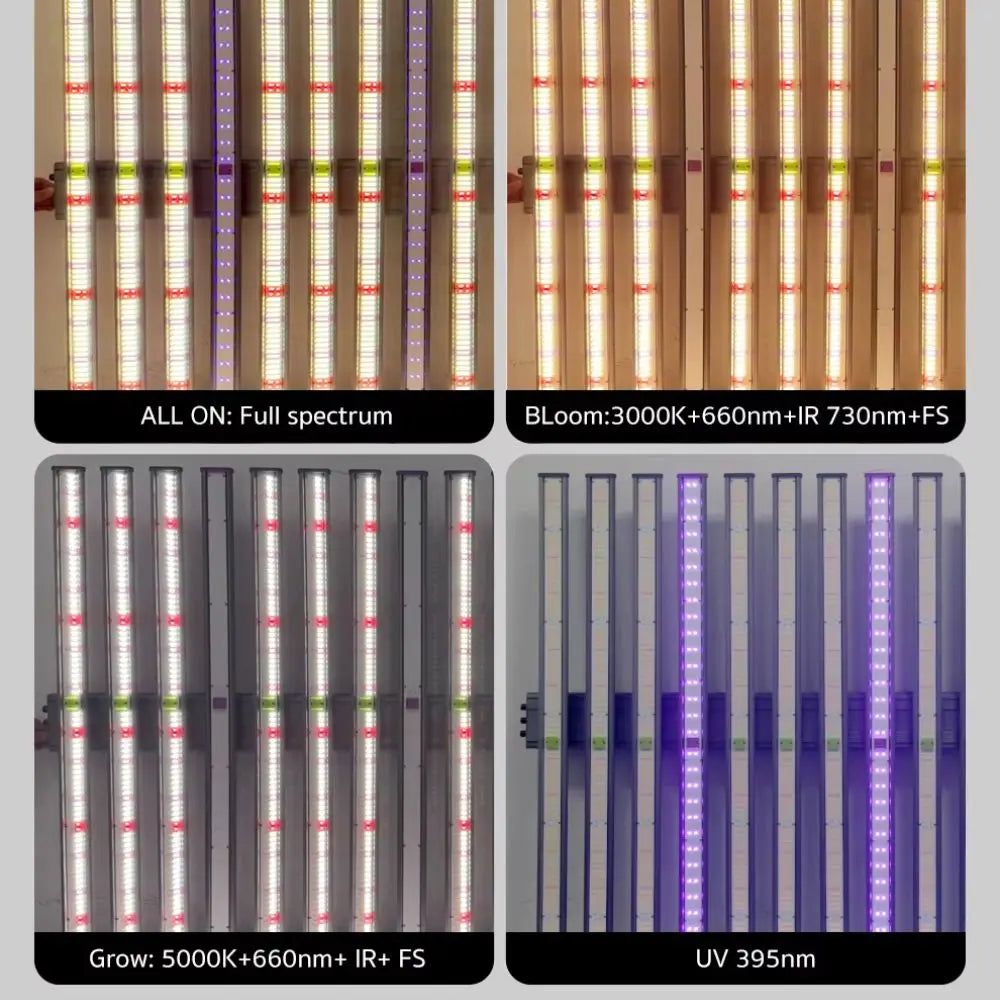 Barres LED de différentes couleurs alignées sur un fond neutre, avec des motifs lumineux distincts