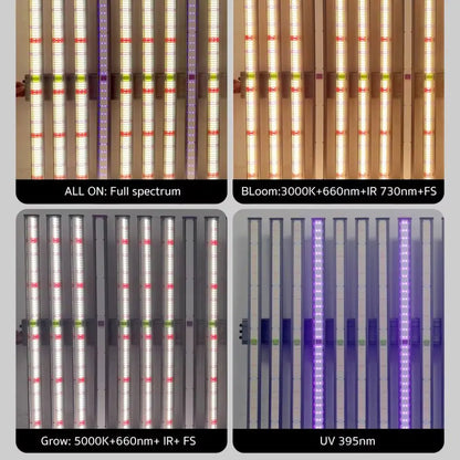 Barres LED de différentes couleurs alignées sur un fond neutre, avec des motifs lumineux distincts