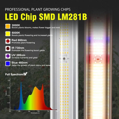 Panneau LED avec plusieurs puces lumineuses, couleurs jaune et blanc, sur fond noir avec un dégradé coloré