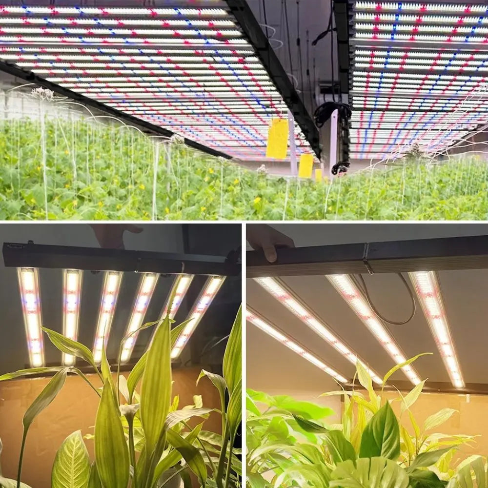 Panneau LED suspendu avec lumières blanches et colorées au-dessus de plantes vertes en croissance