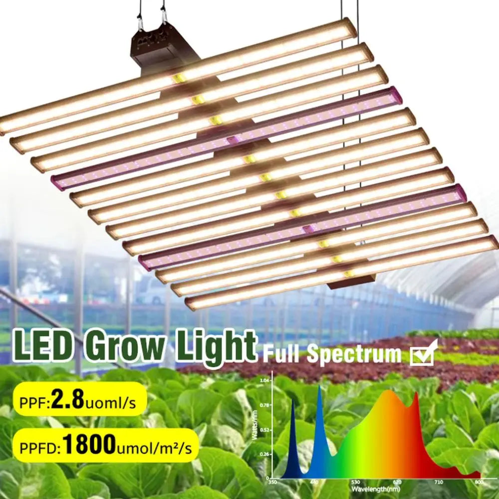 Barres LED suspendues avec lumière blanche et violette, éclairant un espace de culture de plantes vertes